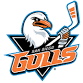 Tucson Roadrunners at San Diego Gulls event image