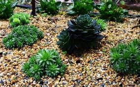 Need landscaping ideas for the front of your house? Best Landscaping Ideas For Your Front Yard Zameen Blog