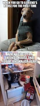 Visiting Friends Funny Dog Memes Really Funny Funny Relatable Memes