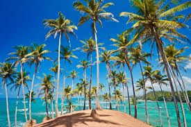 14 Fabulous Things To Do In Mirissa, Sri Lanka - The Globetrotter GP