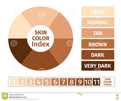 Skin Color Index Infographic 3 Chart Of Skin Stock