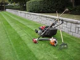 Check spelling or type a new query. Creating A Custom Lawn Care Program