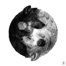 Vector illustration wolf yin yang icon. Yin Yang Yin Yang Tattoos Wolf Tattoos Wolf Tattoo Design