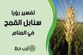 تحمل كل سنبلة من هذا الكتاب حباً وسلاماً ومودة، وكل قنبلة تحمل رداً مفحماً، وجواباً مسكتاً، وبرهاناً ساطعاً، بل إن الحياة كلها سنابل وقنابل. ØªÙØ³ÙŠØ± Ø±Ø¤ÙŠØ© Ø³Ù†Ø§Ø¨Ù„ Ø§Ù„Ù‚Ù…Ø­ ÙÙŠ Ø§Ù„Ù…Ù†Ø§Ù… Ø§Ø±Ø¨ Ø­Ø¸
