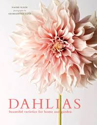 Missy and ashlynn drive dad crazy. From Our Newsletter Dahlias