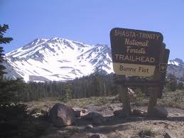 Disasta on Shasta