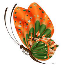 Butterfly 1 Png Butterfly Art Butterfly Drawing Butterfly Wallpaper