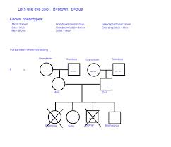 How To Figure Out Your Genotype From Your Family Tree Ppt