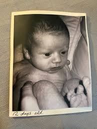 How to find the owner of a lost baby picture in Campbell River?