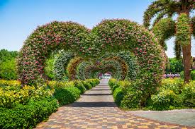 This is a great recipe/project. Dubai Miracle Garden Tickets Attractions To The World S Largest Flower Park