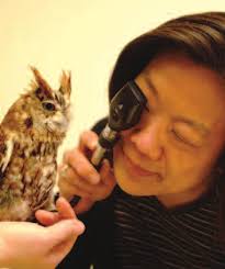 A Pathway to Success