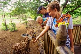 Die bezeichnung „zoologischer garten fand erstmals 1828 beim londoner zoo verwendung. Die Schonsten Zoos Und Tiergarten In Osterreich Welovefamily At