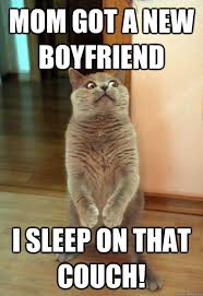 Mom Got A New Boyfriend Cat Meme Cat Planet Cat Planet