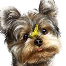 Pin By Alla Redko On Yorkie Yorkie Painting Yorkie Dogs Yorkshire Terrier Dog