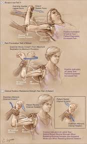 Image result for Shoulder Instability Exam