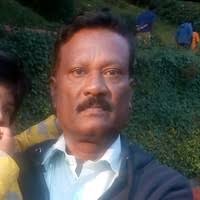 10+ "Freddy Sandi" profiles