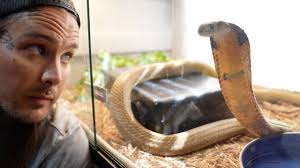 Hanging out with my King Cobra Rusty!