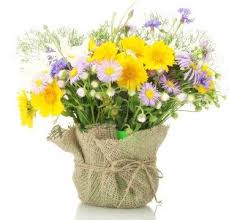 Augurare un buon compleanno ad un'amica non è mai stato più semplice con le immagini e le frasi di auguri che proponiamo. Buon Compleanno Con Fiori Di Campo