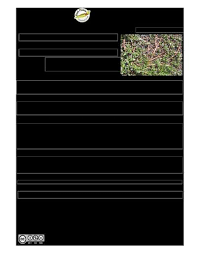 Image result for Premna velutina