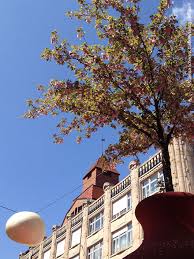 Image result for City Lounge, St. Gallen