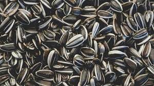 Nuts and seeds contain enzyme inhibitors that affect our body's ability to read soaking nuts and seeds (+how to dehydrate them, too!). Sunflower Seeds Nutrition Health Benefits And How To Eat Them
