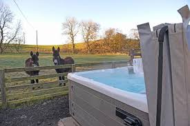 Clean the hot tub with a hot tub cleaner before draining to remove contaminants from inside of the spa plumbing and jets. 3 Bed Lodge W Private Hot Tub On Animal Haven Farm New Cumnock Updated 2021 Prices