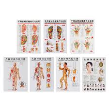 Us 5 12 3 Pcs 7pcs Acupuncture Massage Point Map Chinese English Meridian Acupressure Points Posters Chart Wall Map For Medical Teaching In Massage