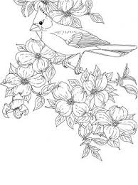 The northern cardinal is the state bird of seven u.s. Northern Cardinal Bird Coloring Pages Cardinal Coloring Pages Flower Coloring Pages