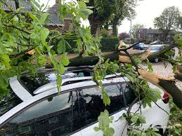 Er is een meterslange kraan ingestort, waarbij een gewonde is gevallen. Kort Noodweer In Tiel De Tielenaar