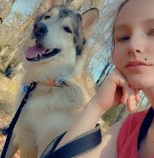 Is Blue Spruce Park dog friendly?