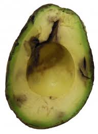 Factors Affecting Avocado Flesh Bruising Susceptibility Avocados Australia