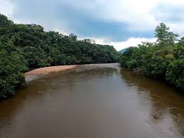 Image result for Afroqueta