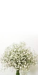 Babys Breath Love U Yoonpyo Hong Bunga Cat Air Wallpaper Bunga Iphone Tanaman