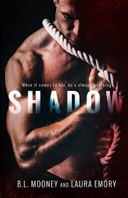 Shadow: Mooney, B.L., Emory, Laura, of Okay Creations, Sarah Hanson,  Maroney Smith, Paige, of Perrywinkle Photography, Lauren Perry:  9780990755128: Amazon.com: Books