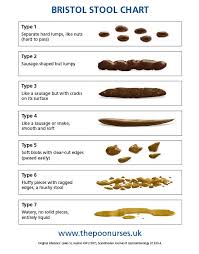 26 Logical Constipation Stool Chart