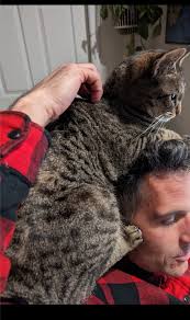 Missing our sweet Violet