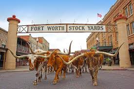 8 Awesome Things To Do In Fort Worth Texas Fort Worth Stockyards Road Trip Usa Fort Worth