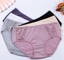 Comfortable Women Mature Underwear Brief Breathable Mid Rise Nice Looking Women Seamless Panties Photos