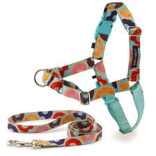 Easy Walk Harness By Petsafe Grp Ewh