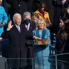 Image result for Bidens ugandensis