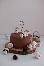 Fraulein Klein Im Zauberwald Mit Minidrops No Bake Oreo Cheesecake Mandel Schokotorte Chocolate Almonds Chocolate Recipes Chocolate Cake
