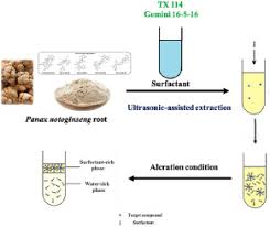 Available in an array of shapes and sizes so that you can find the perfect fit for your. Enhanced Extraction And Preconcentration Of Main Target Saponins From Panax Notoginseng Root Using Green And Efficient Formulated Surfactant Aqueous Systems Sciencedirect