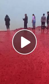 Rain transforms Hormoz Island's Red Beach into a stunning blood-red river  🌧️🩸 #NatureMagic #HormozIsland #RedBeach #RainyVibes - NewsBreak