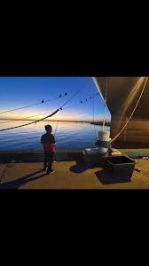 My life has been nothing short of a movie. If you asked anyone including  myself would I be here today; the answer would have been “No”. I have done  somethings I am