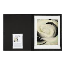 A detail from georgia o'keeffe's abstraction white rose, 1927. Georgia O Keeffe Abstraction White Rose Folio Tate