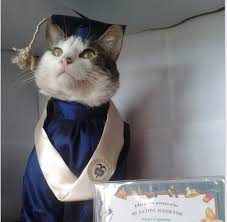 Finally I Am Graduated