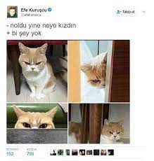 anlamli dusundurucu eglenceli guzel komik konusan komik komik resimler komik seyler