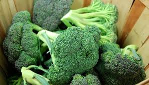 Diese sollten also besser getrennt voneinander. Brokkoli Ernten Im Juni Beginnt Endlich Die Erntezeit