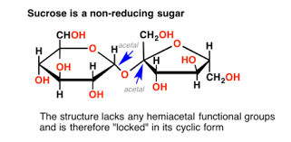 Why Sucrose Is Non Reducing Sugar | Carbohydrates | Reducing Sugar - Youtube