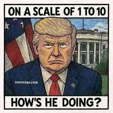 ON A SCALE OF OF1T010 1T0 ห বদर TFPPWIRE.COM HOW'S HE DOING?